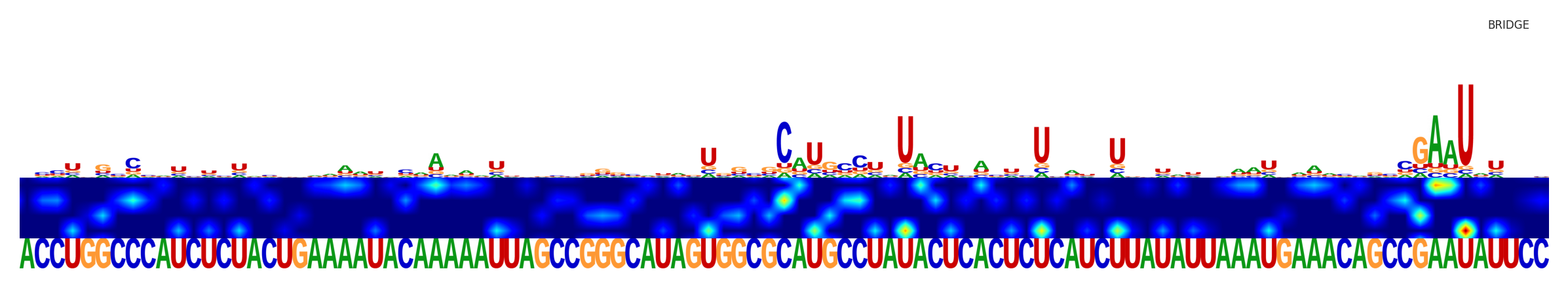 Saliency map for the first sequence