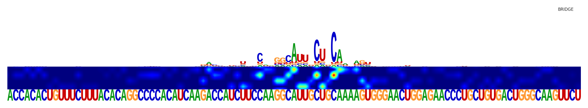 Saliency map for the second sequence