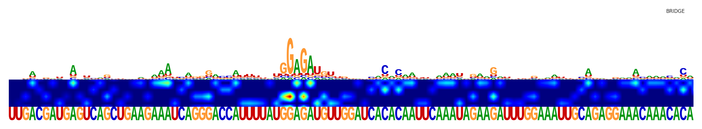 Saliency map for the first sequence