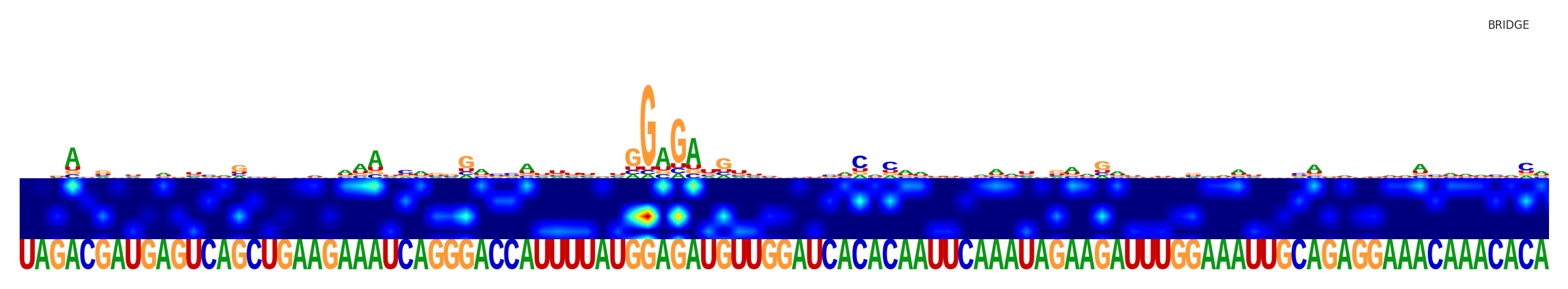 Saliency map for the second sequence